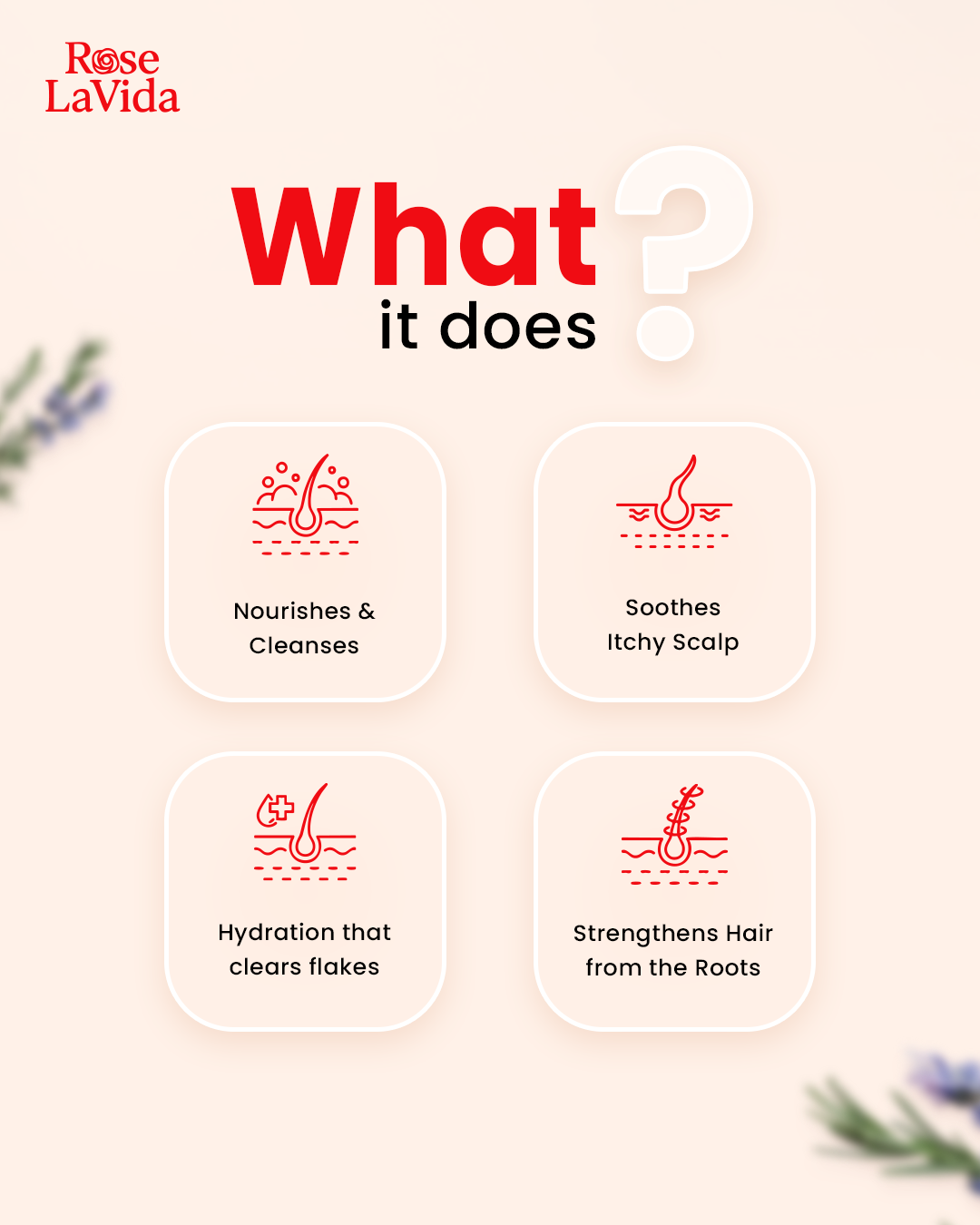 Nature’s 2-in-1 Haircare Combo