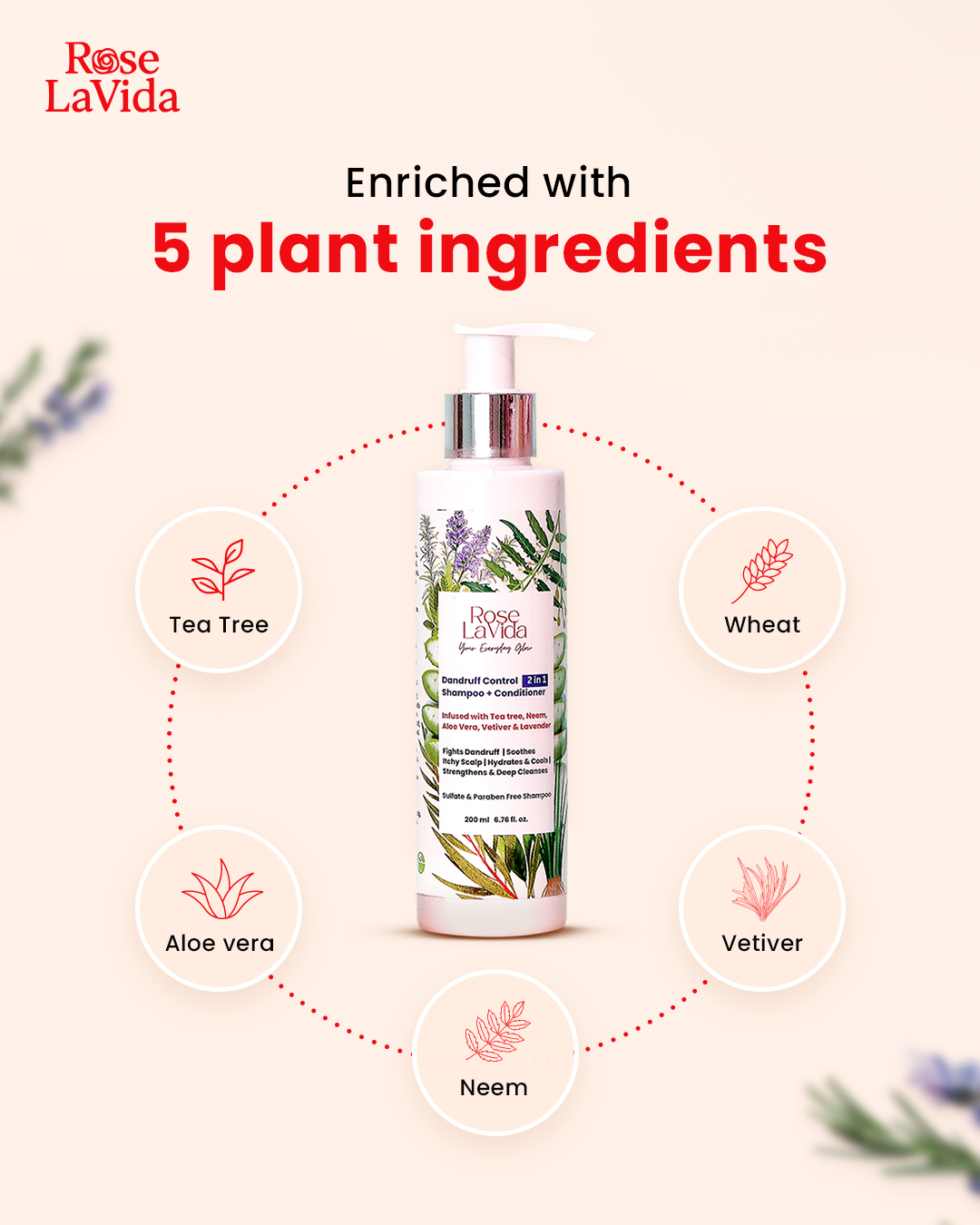 Radiance & Root Ritual Collection | Set of 4