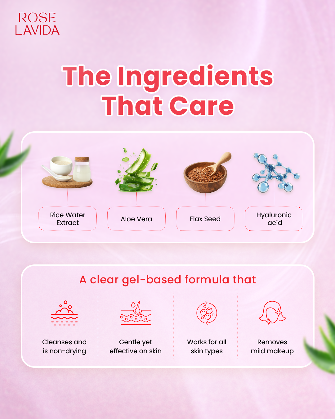 Ayurvedic Rice Aloe Radiance Cleanser | Gentle & Non-drying | For All Skin Types | Women & Men, 100 ml