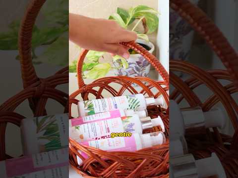 Radiance & Root Ritual Collection | Set of 4